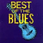 Logo of Blues music radio android Application 