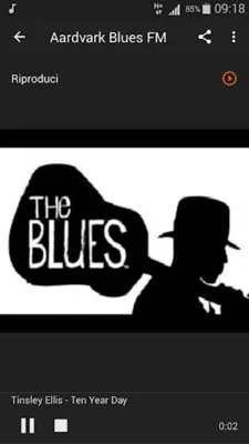 Blues music radio android App screenshot 7